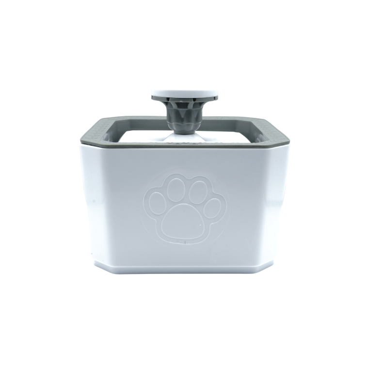 Paillasson extérieur antidérapant pour porte d'entrée Motif chat Style A