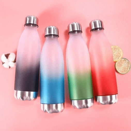 Bouteille d'eau isotherme - Sport - 500ml - Plastique sans BPA - Couverture inoxydable - Couleurs aléatoires