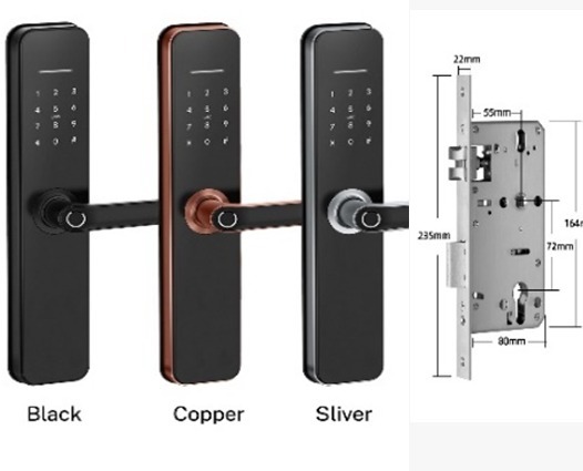 SERRURE INTELLIGENTE WIFI DI-H07B +8 Piles Fournies: