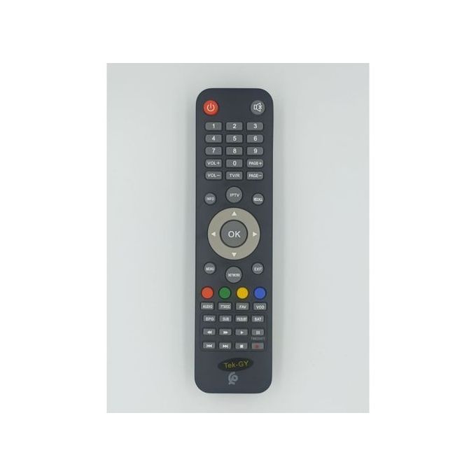 Télécommande pour de nombreux récepteurs de canaux Eurview