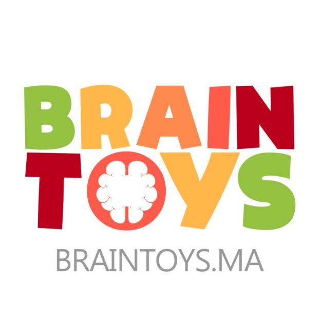 Braintoys